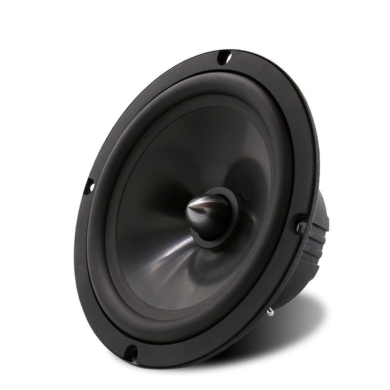 Car Audio Modification Front Door Speaker